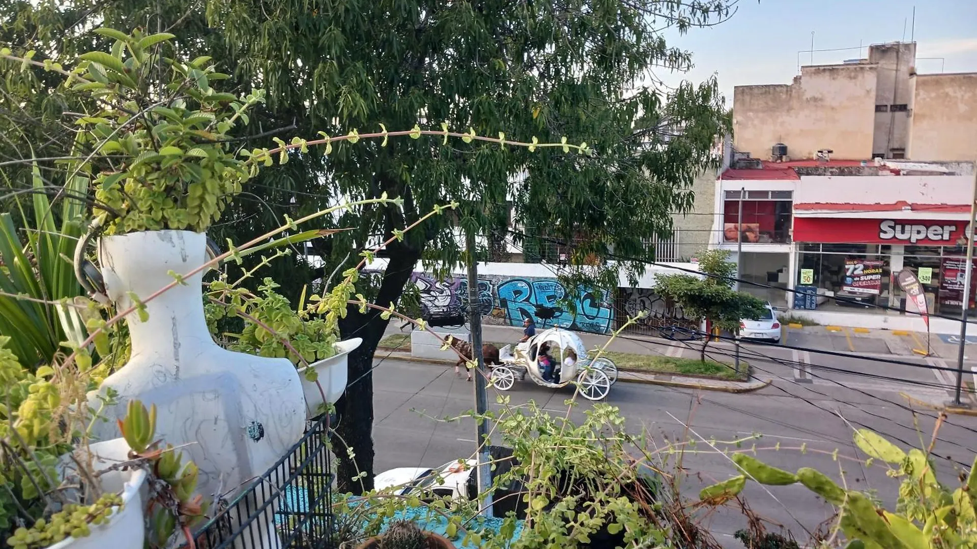 Hospedajes グアダラハラ メキシコ